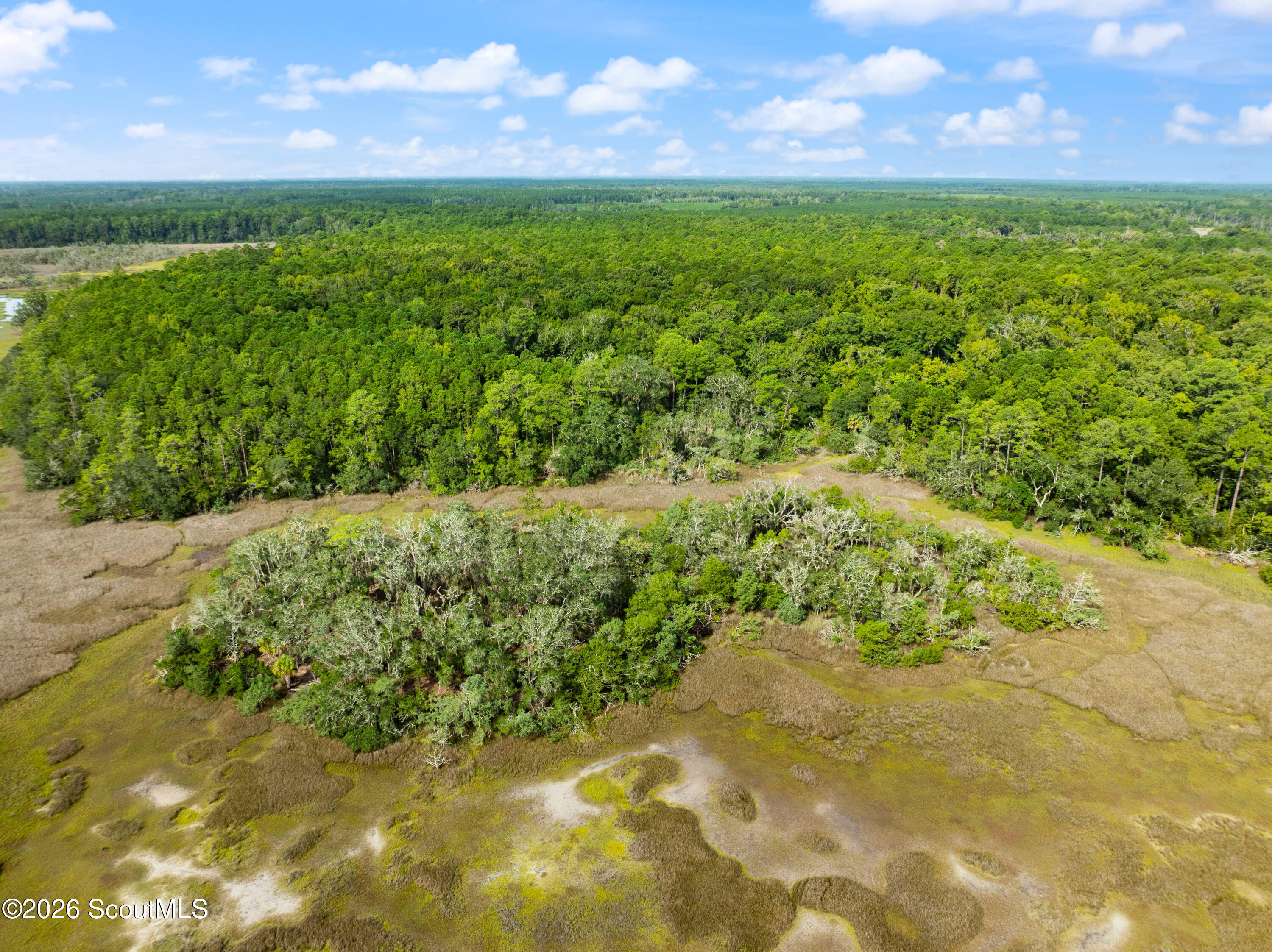 2265 Young Man Road Northeast Townsend, GA 31331 - Photo 19 of 21 DJI_0051
