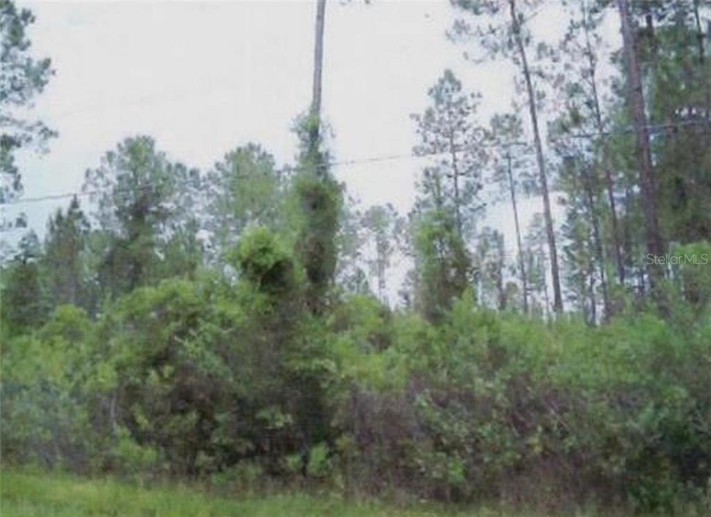 5178 Lime Avenue Bunnell, FL 32110 - Photo 1 of 1 Front of lot