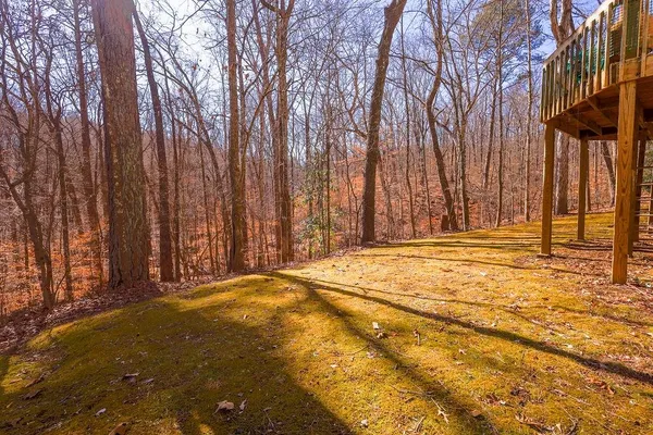 a view of backyard with large trees