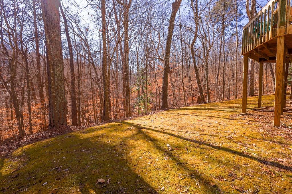 24 Acres Mount Lithia Springs, GA 30122 - Photo 5 of 10 a view of backyard with large trees