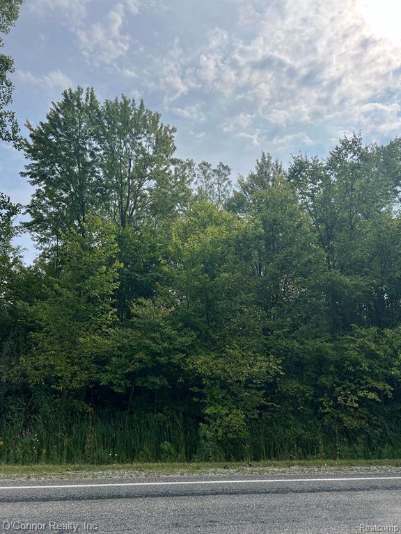 0 Wadhams Road St. Clair, MI 48079 - Photo 2 of 3 Gallery Image 2