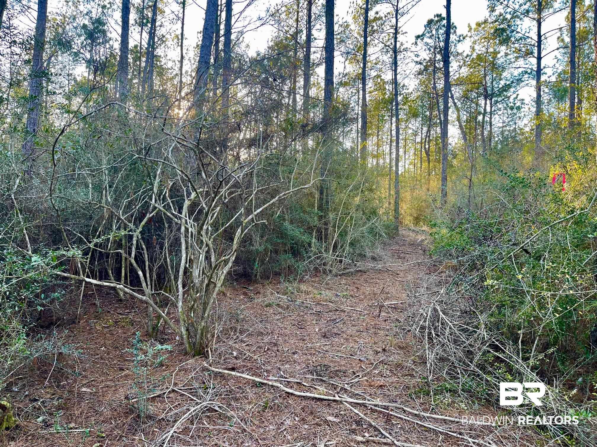 30147 Gardner Road Elberta, AL 36530 - Photo 8 of 28