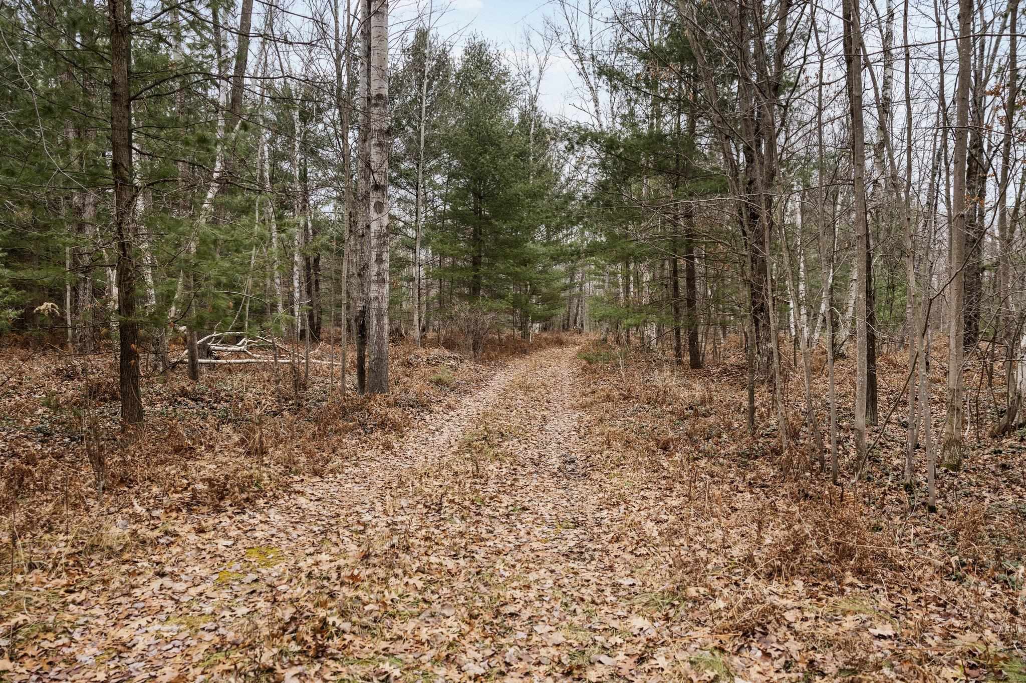 4615 East Sugar River Road Alger, MI 48610 - Photo 21 of 69