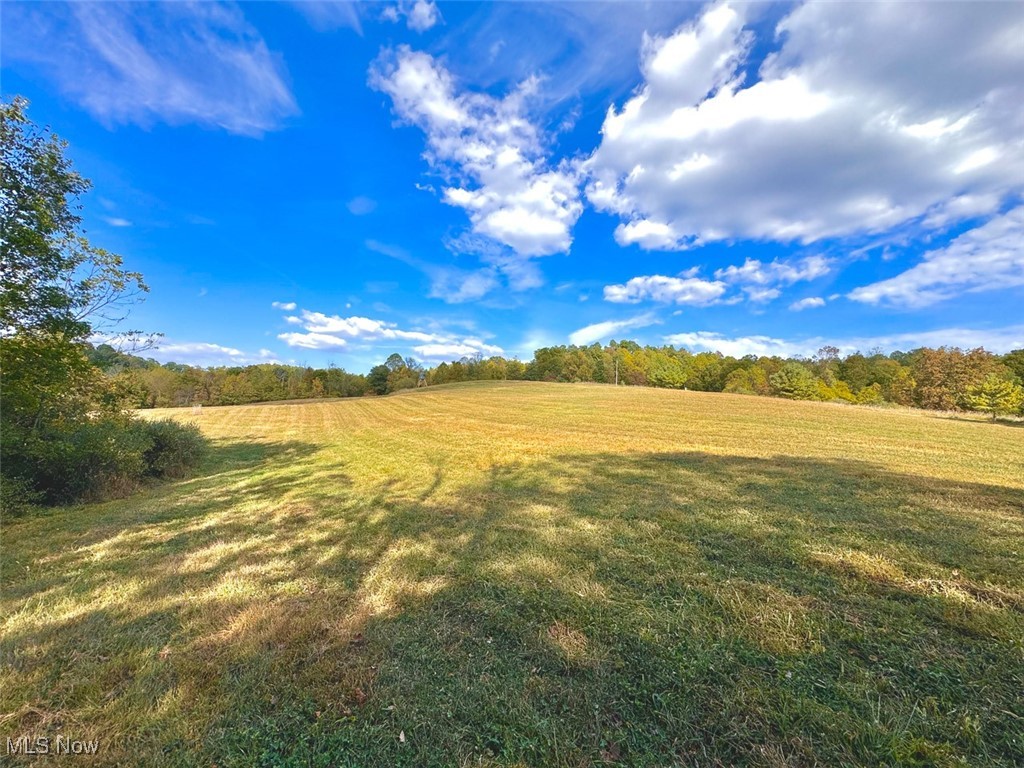 18063 Sligo Road Freeport, OH 43973 - Photo 6 of 50 View of open Field