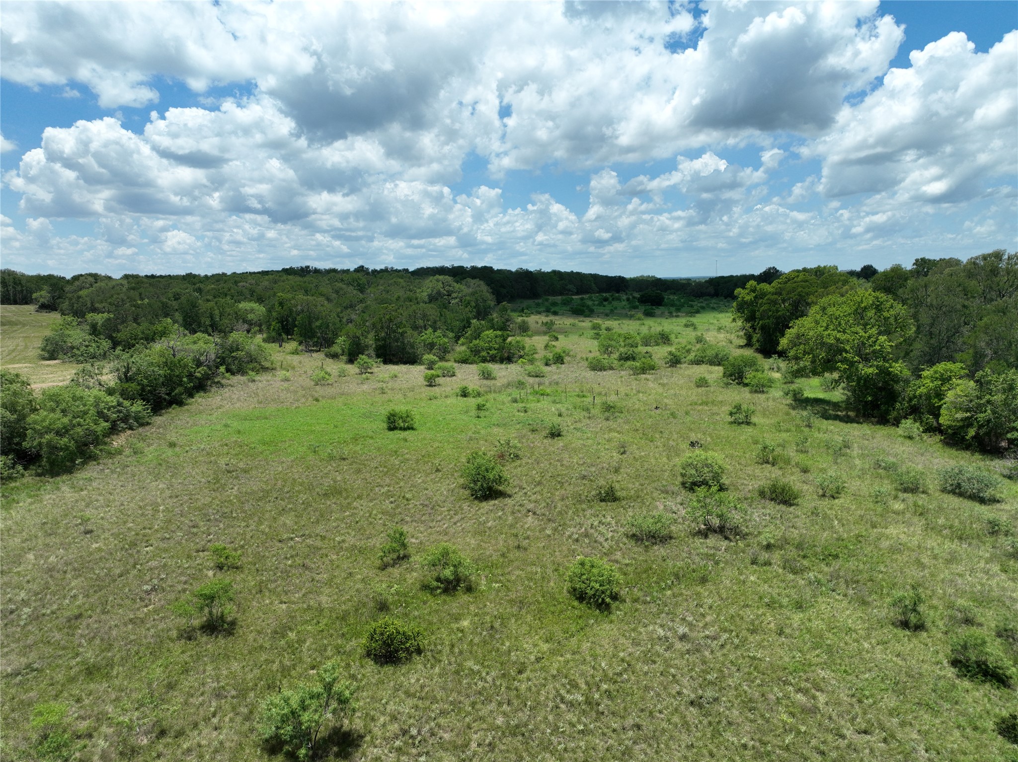Tbd Lot 4 Tbd Road Dale, TX 78616 - Photo 3 of 24 View of nature featuring rural landscape