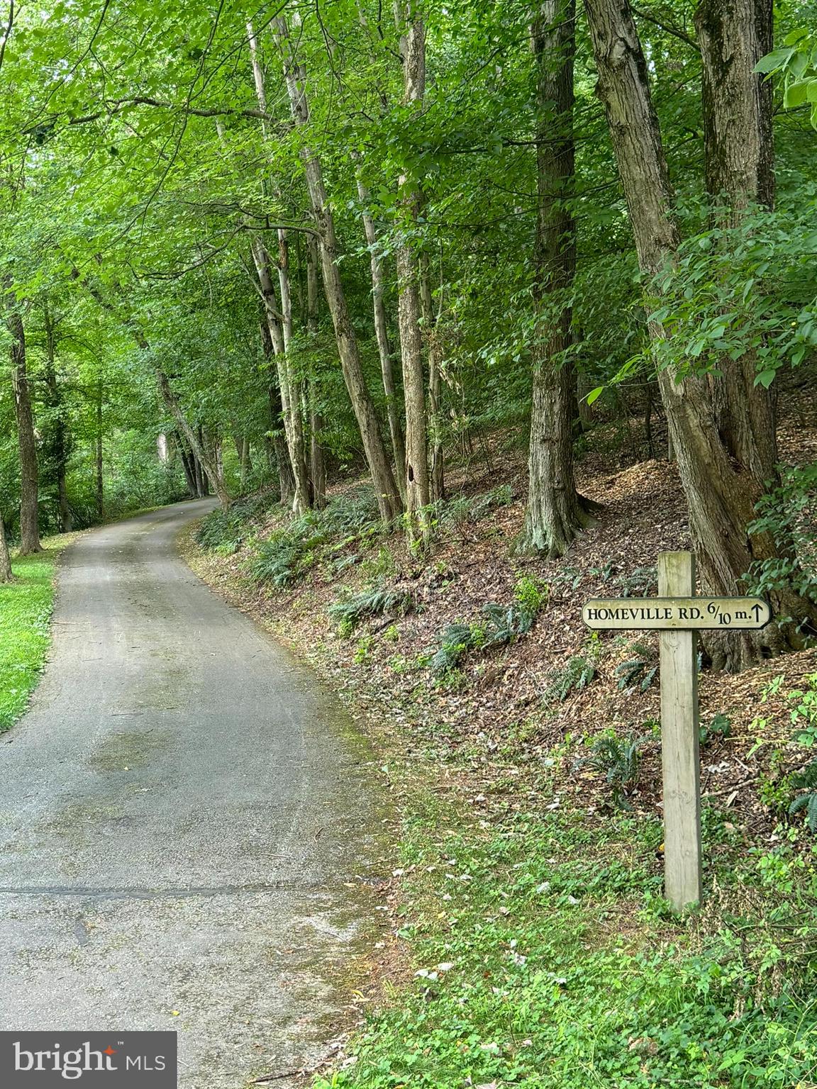 4635 Newark Road Cochranville, PA 19330 - Photo 106 of 113 a backyard of a house with lots of plants and large trees