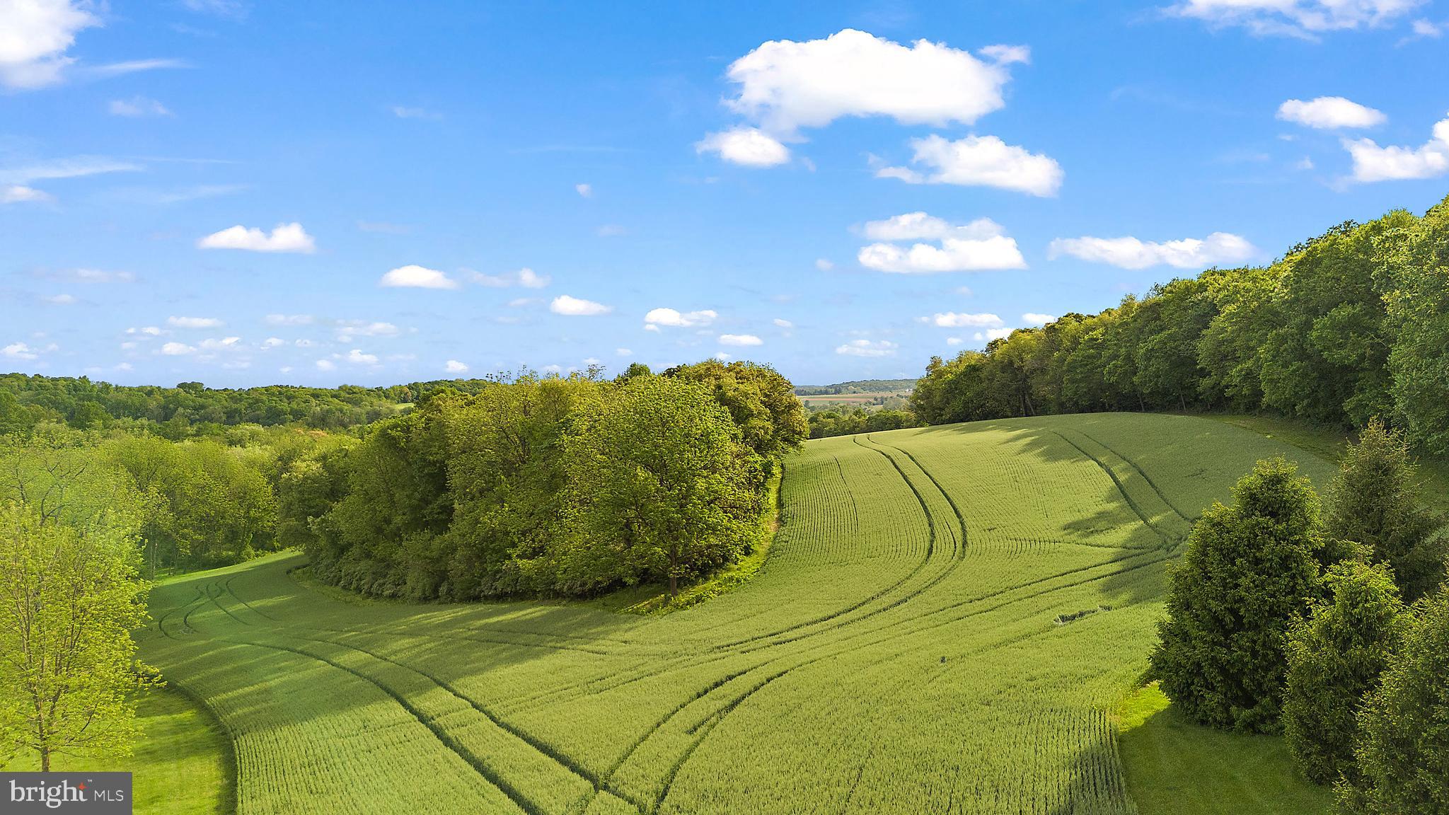 4635 Newark Road Cochranville, PA 19330 - Photo 85 of 113