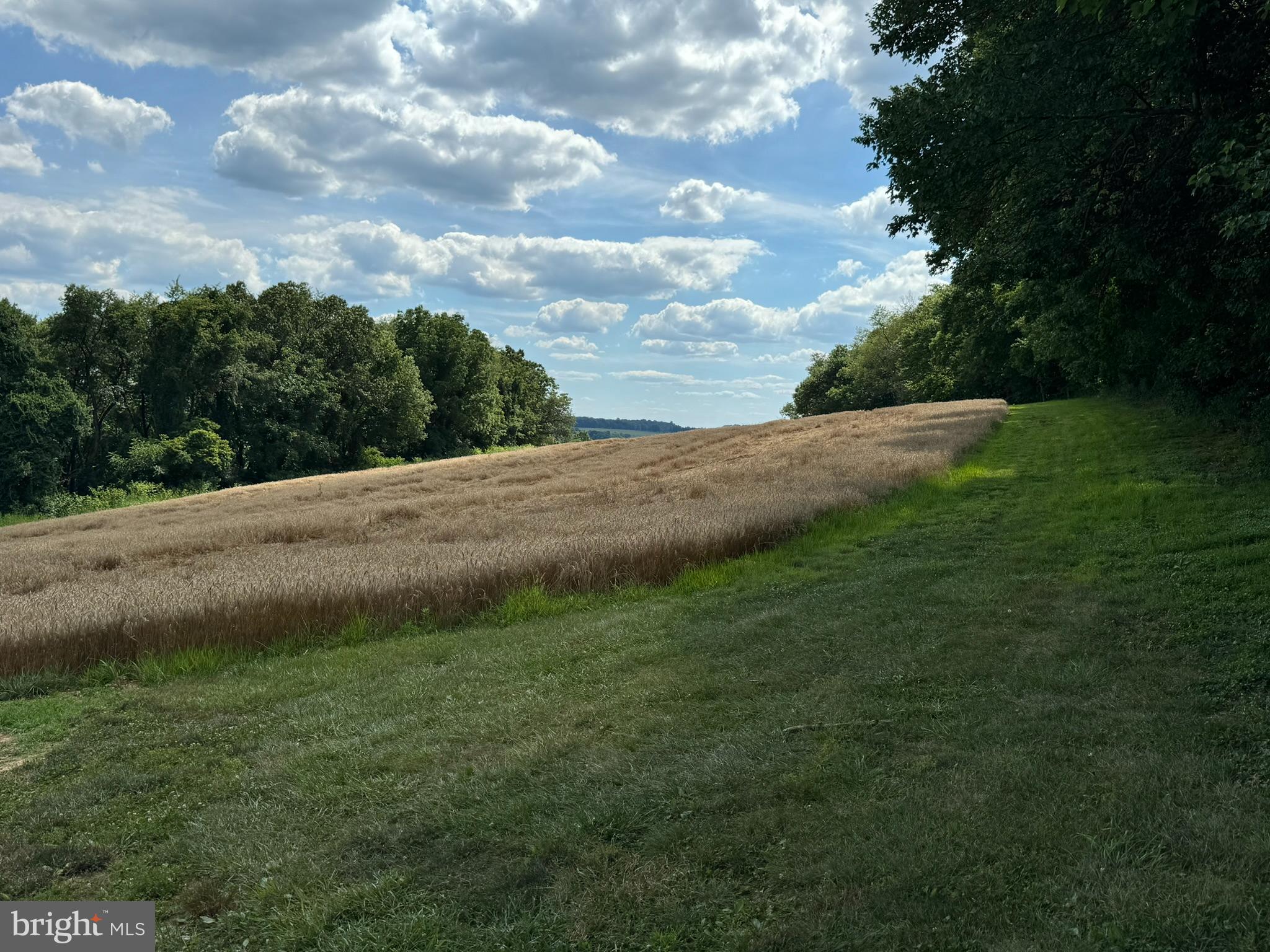 4635 Newark Road Cochranville, PA 19330 - Photo 96 of 113 4880