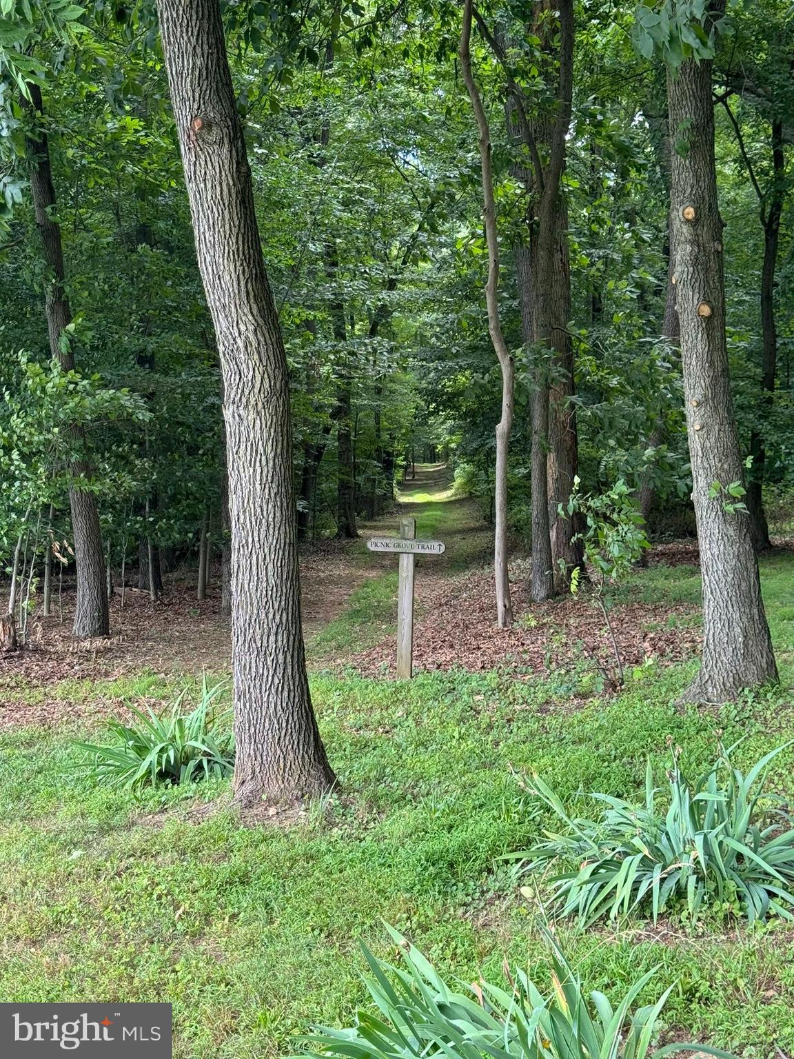 4635 Newark Road Cochranville, PA 19330 - Photo 99 of 113 a view of a trees in a yard