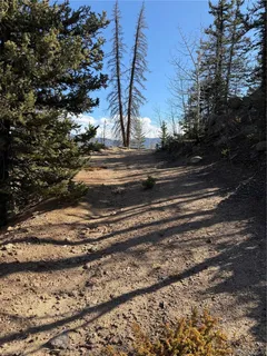 a view of street with large trees