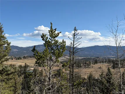 a view of a lake in middle of the forest