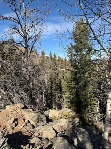 a view of a yard with a tree