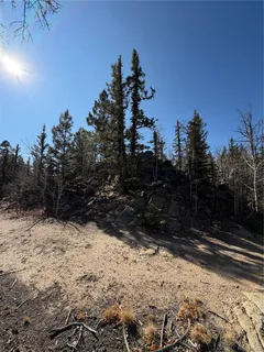 a view of outdoor space yard and trees
