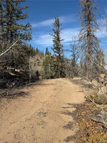 a view of a yard covered with snow in the background