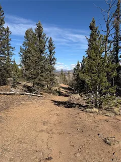 a view of a yard with trees