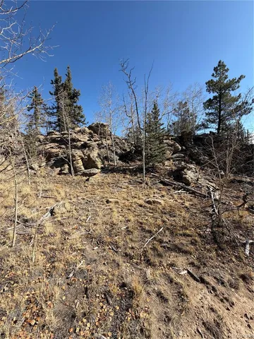 a view of a yard with a tree