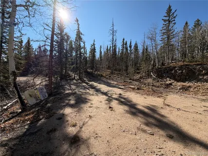 a view of a forest with trees