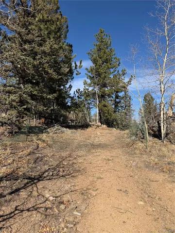 a view of outdoor space and trees