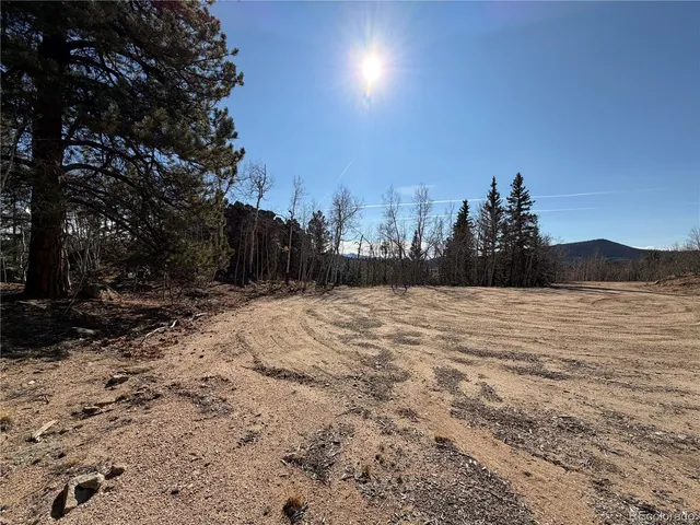 a view of outdoor space with trees