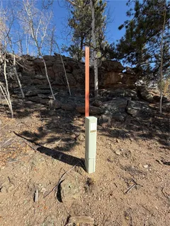a view of a backyard of the house
