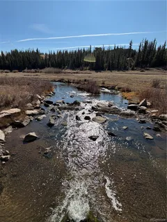 a view of a door with an tree