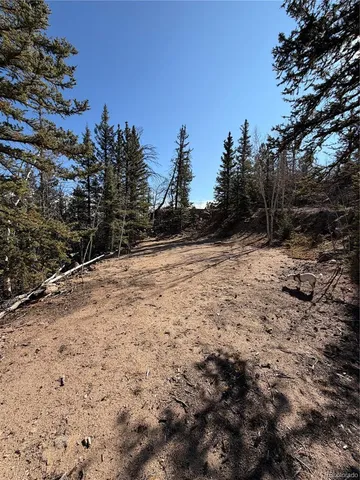 a view of a yard covered with snow