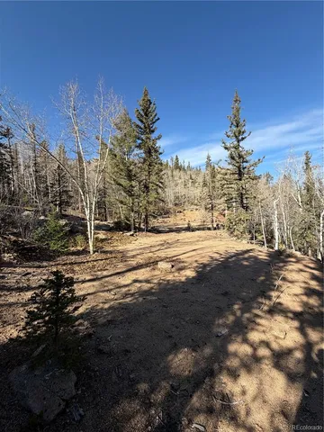 a view of dirt yard with a large tree