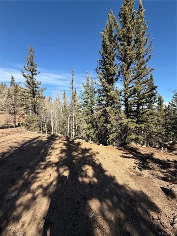 a view of a yard with snow on the road