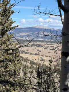 a view of a dry yard with wooden fence