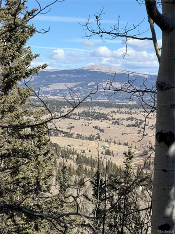 a view of a dry yard with wooden fence