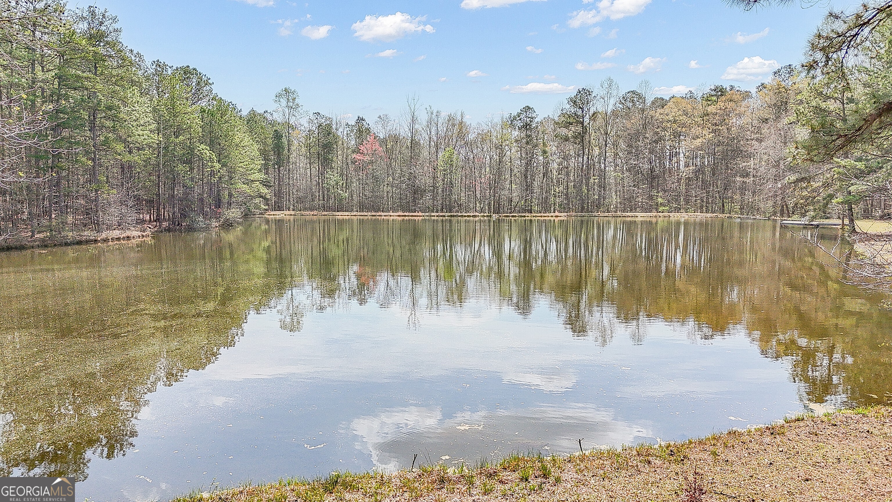 2372 Welcome Road Newnan, GA 30263 - Photo 26 of 37