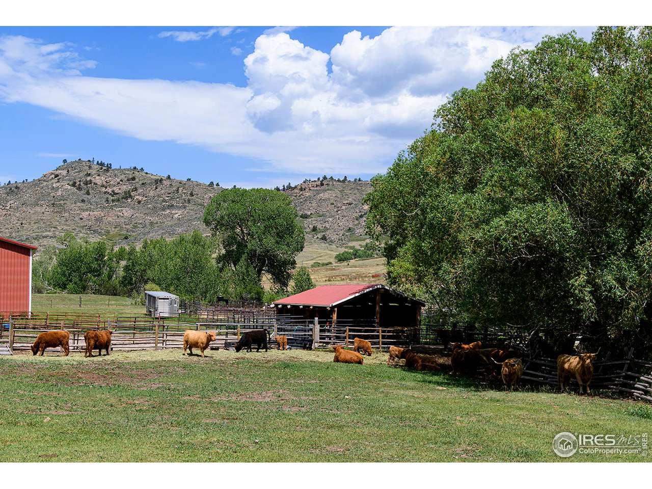222 Boxer Ranch Road Livermore, CO 80536 - Photo 24 of 28 a view of a big house with a big yard and large trees