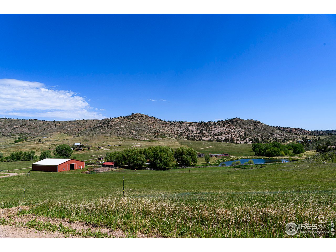 222 Boxer Ranch Road Livermore, CO 80536 - Photo 25 of 28 a view of yard with mountain and trees in the background