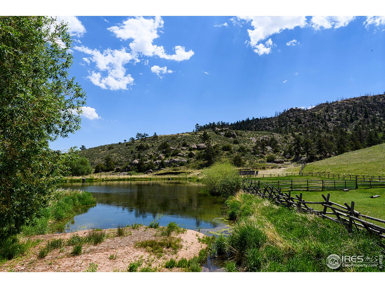 222 Boxer Ranch Road Livermore, CO 80536 - Photo 27 of 28 a view of a lake from a yard