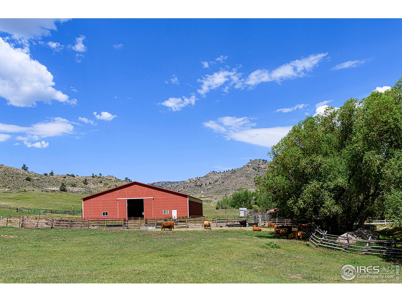 222 Boxer Ranch Road Livermore, CO 80536 - Photo 4 of 28 a view of a house with a big yard
