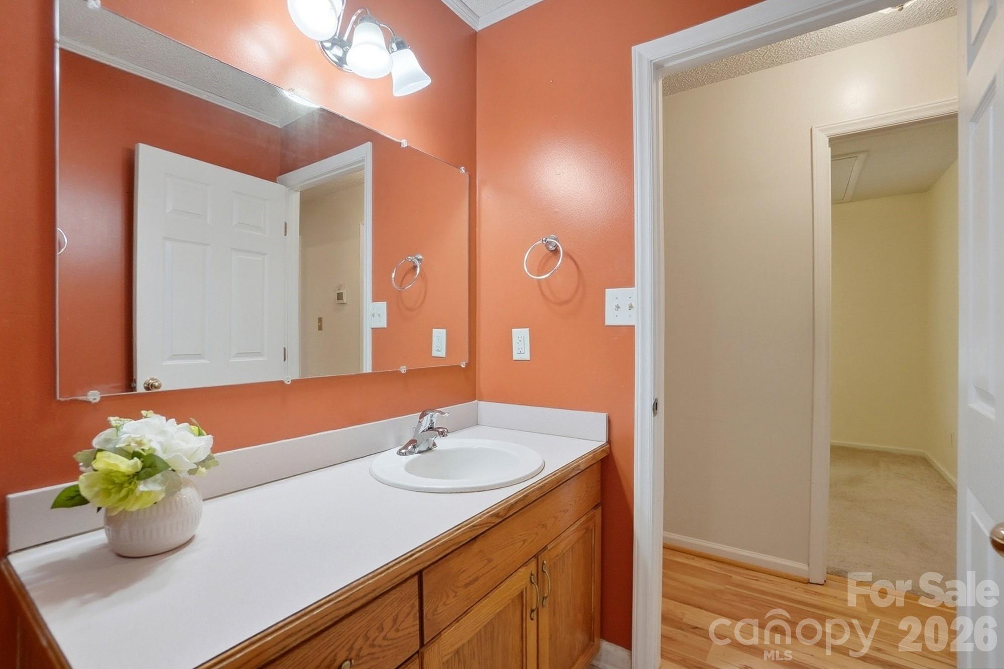 616 Durham Road Stanley, NC 28164 - Photo 26 of 42 a bathroom with a sink and a mirror