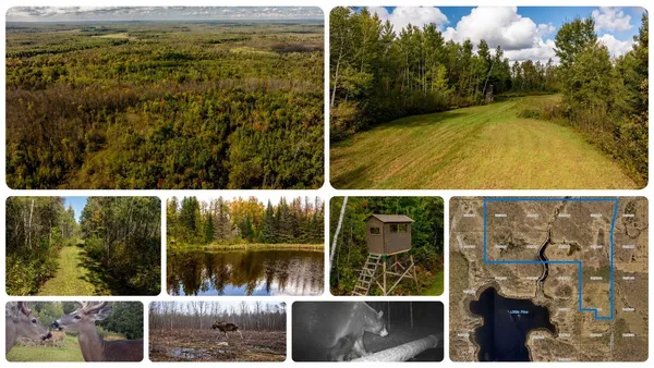 $799,900 | 384-acres Tbd Little Pine Road, Emily, MN 56447