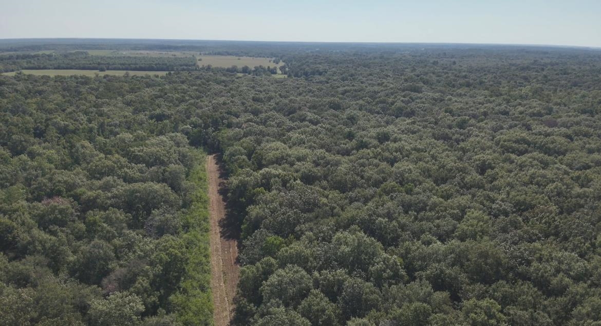 0 McGuire Road Liberty, TX 77575 - Photo 23 of 40