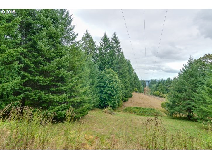 16101 Hall Road Clatskanie, OR 97016 - Photo 29 of 32 Gallery Image 29