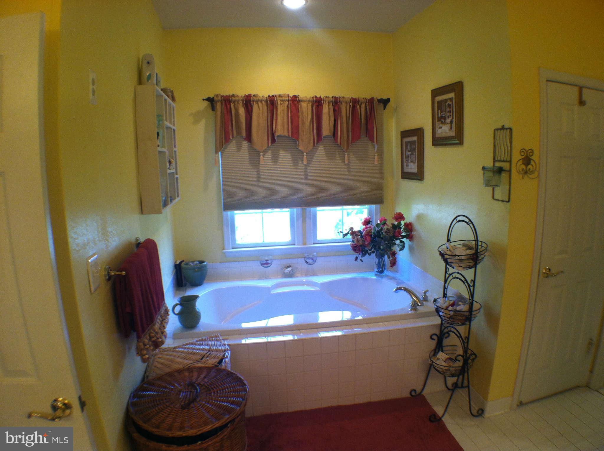 43004 Running Ridge Way Leesburg, VA 20176 - Photo 25 of 30 Bath (Master)