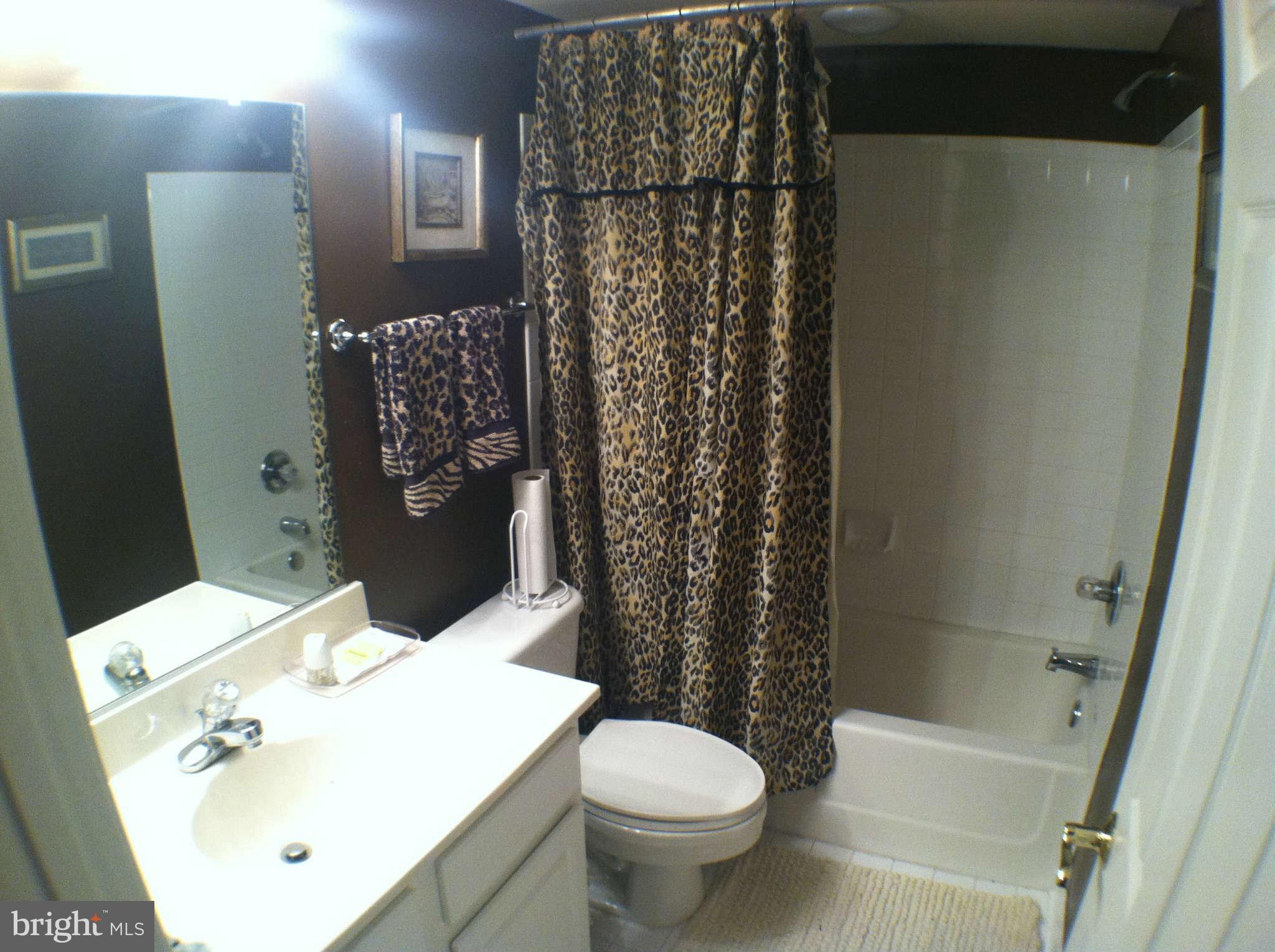 43004 Running Ridge Way Leesburg, VA 20176 - Photo 26 of 30 Bath