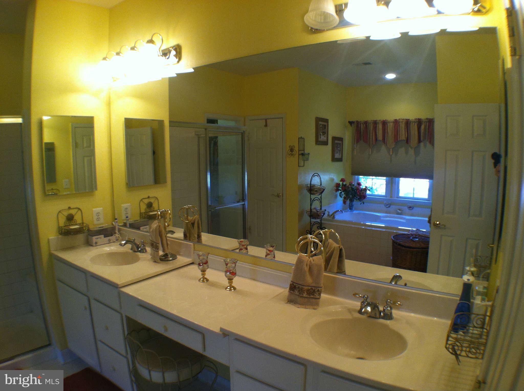 43004 Running Ridge Way Leesburg, VA 20176 - Photo 27 of 30 Bath (Master)