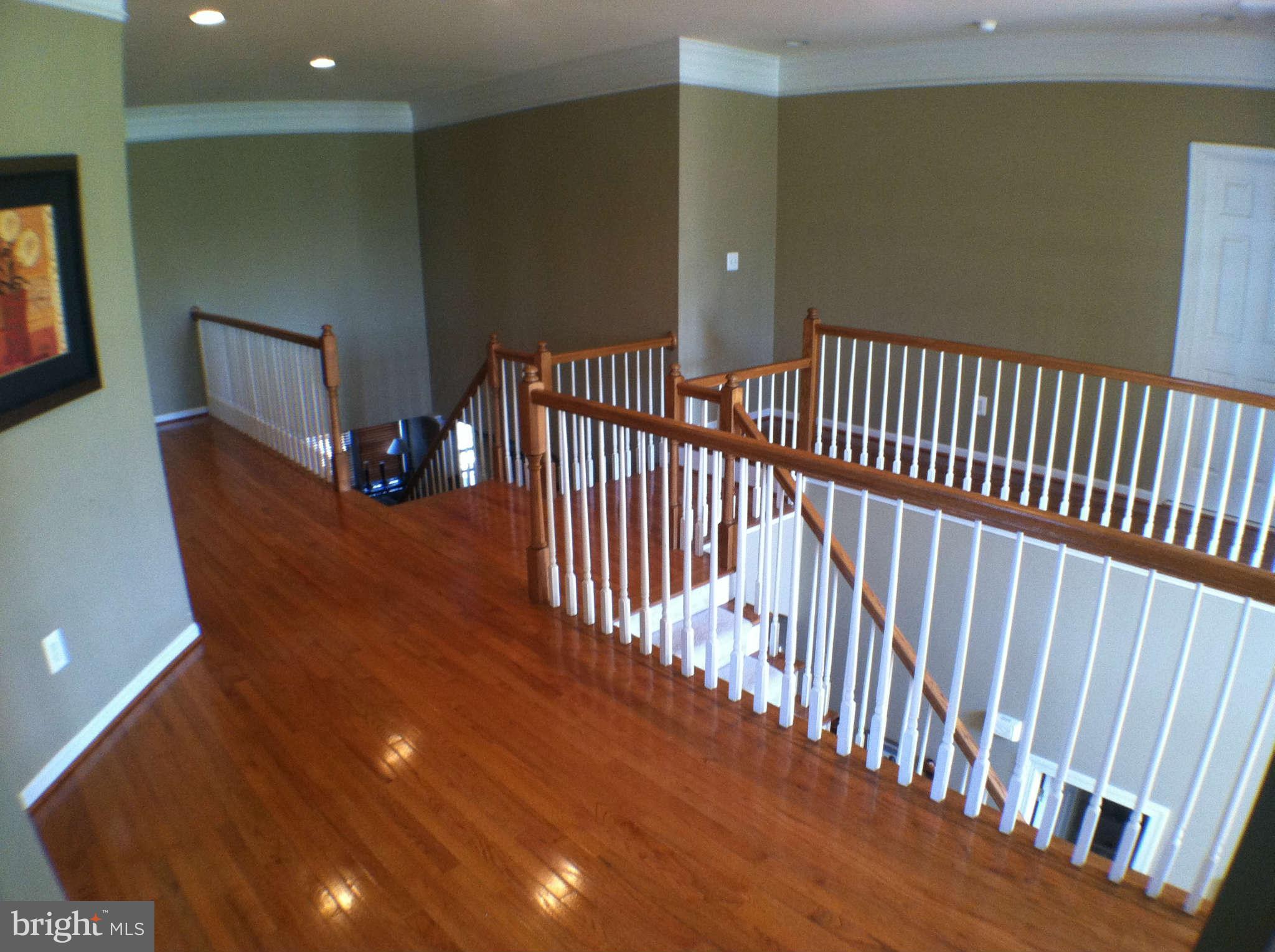 Interior (General)