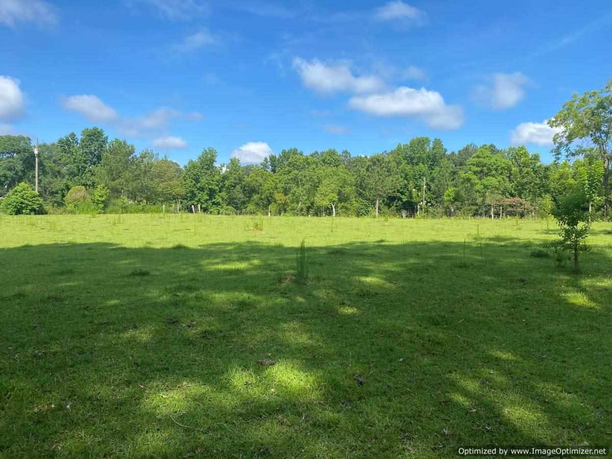 441 Foster Road, Unit NONE Florence, MS 39073 - Photo 1 of 8 Photo 1