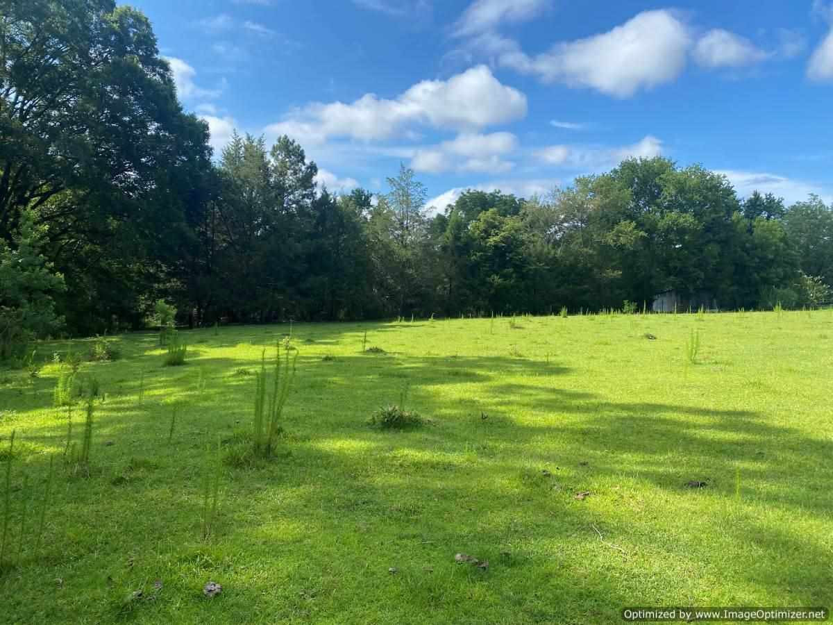 441 Foster Road, Unit NONE Florence, MS 39073 - Photo 2 of 8 Photo 2