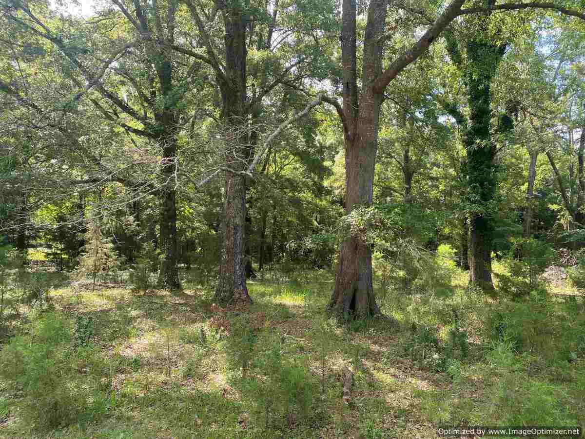 441 Foster Road, Unit NONE Florence, MS 39073 - Photo 4 of 8 Photo 4