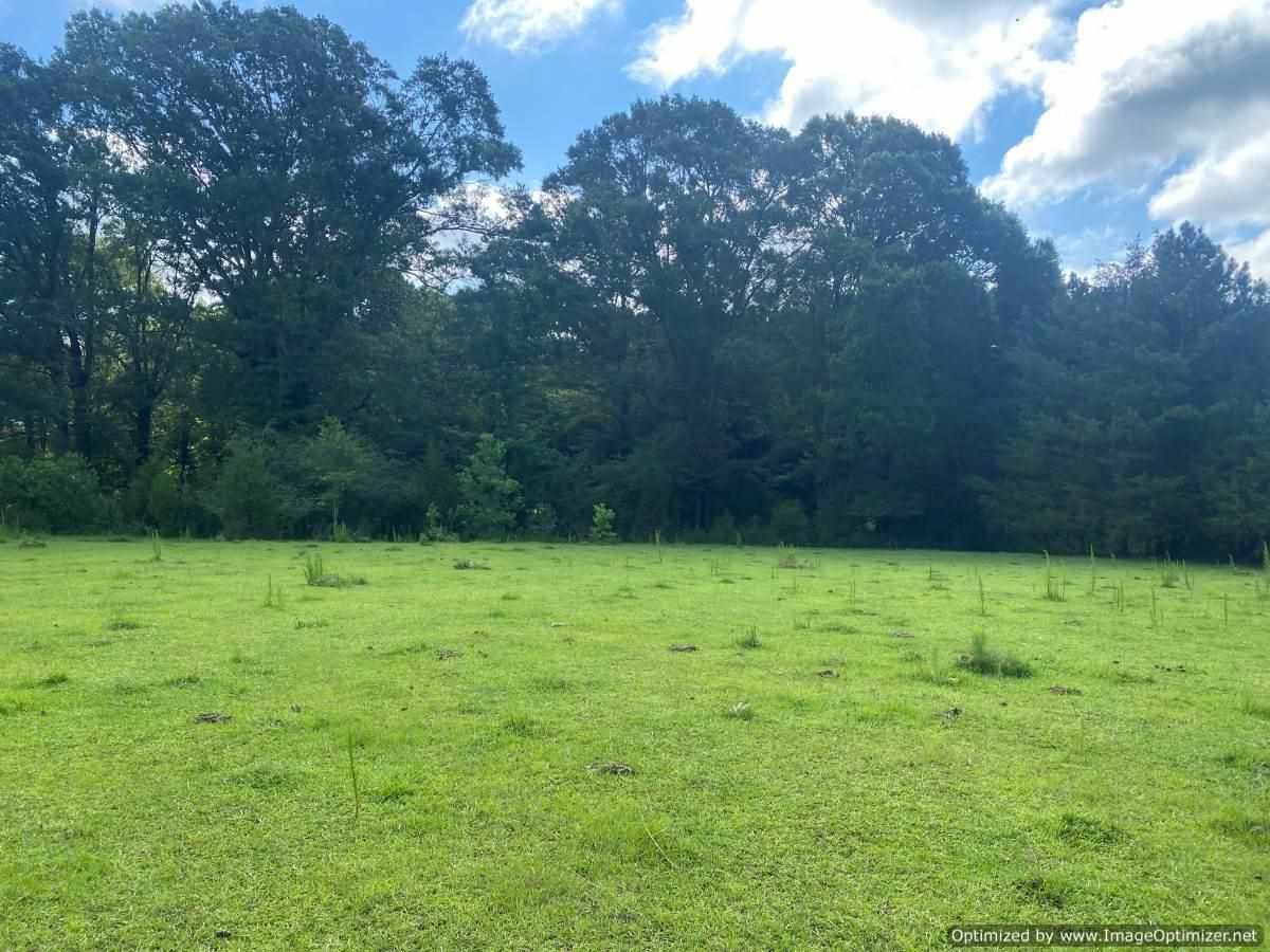 441 Foster Road, Unit NONE Florence, MS 39073 - Photo 8 of 8 Photo 8