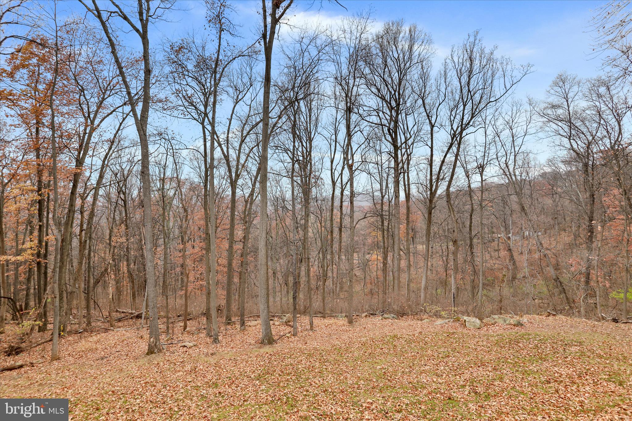401 Bragg Drive Front Royal, VA 22630 - Photo 38 of 50 a view of covered with snow