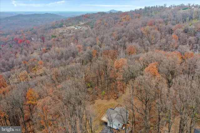 a view of a dry space with lots of trees