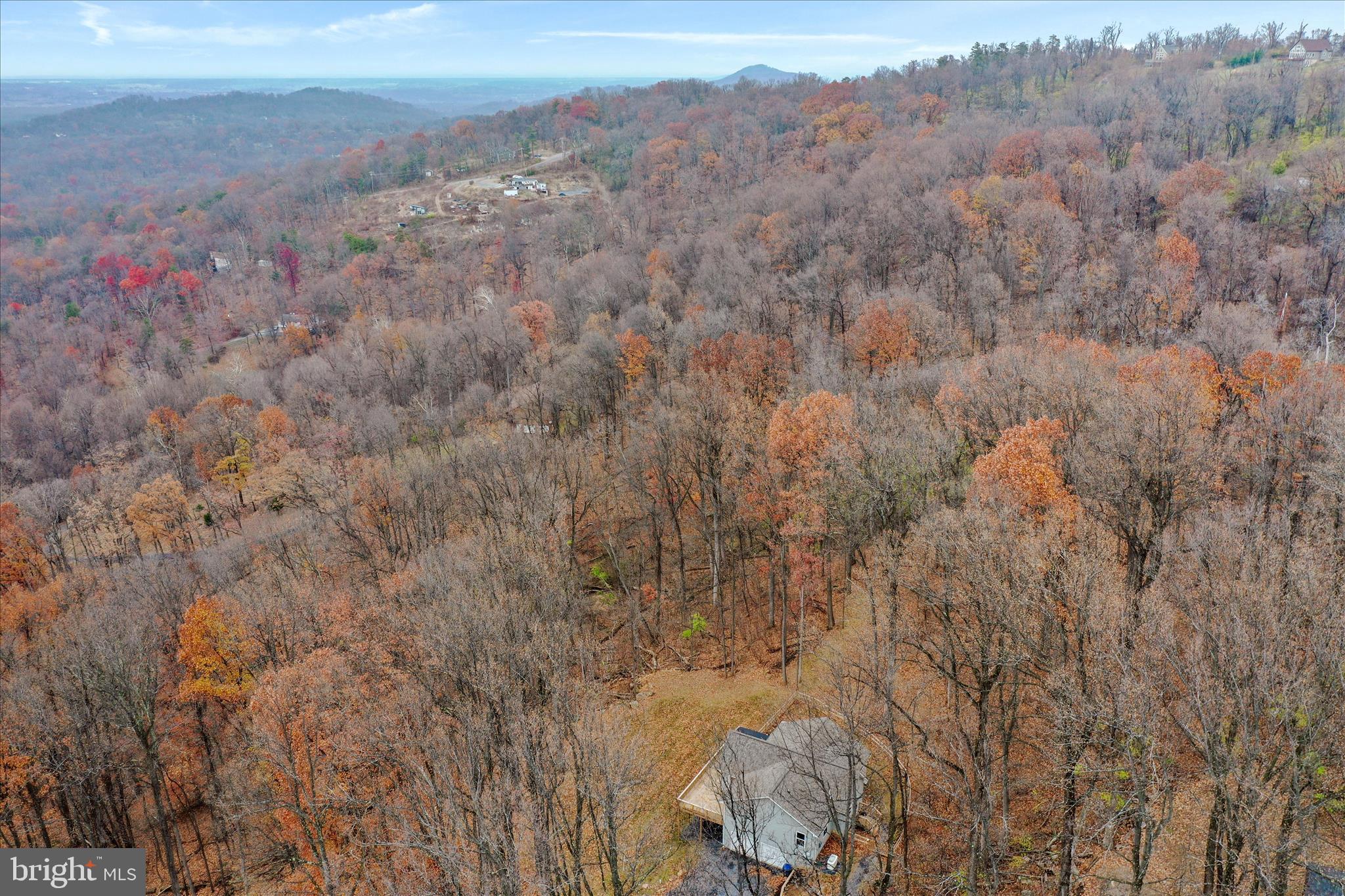 401 Bragg Drive Front Royal, VA 22630 - Photo 46 of 50 a view of a dry space with lots of trees